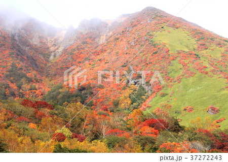 那須高原の秋 那須高原の秋 37272243