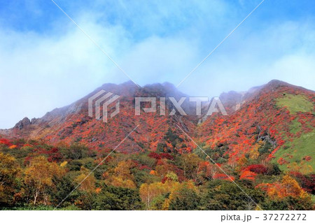 那須高原の秋 37272272