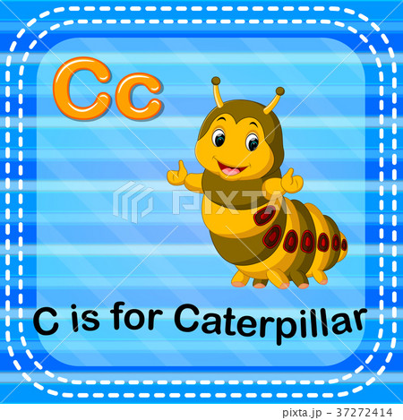 Flashcard letter C is for caterpillarのイラスト素材 [37272414] - PIXTA
