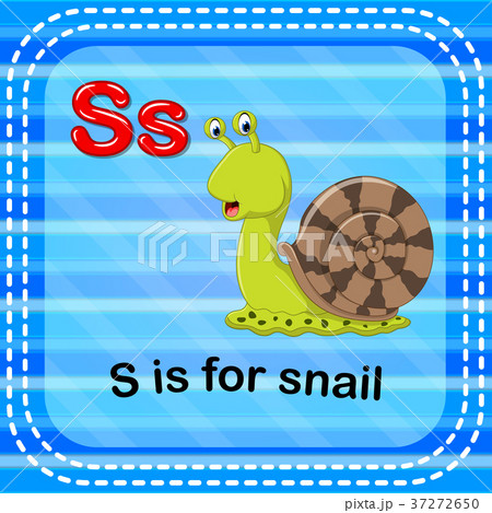 Flashcard letter S is for snail Flashcard letter S is for snail 37272650