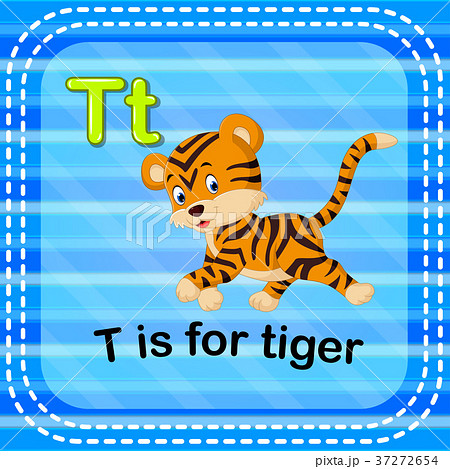 Flashcard letter T is for tiger Flashcard letter T is for tiger 37272654
