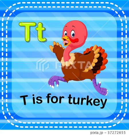 Flashcard letter T is for turkey Flashcard letter T is for turkey 37272655