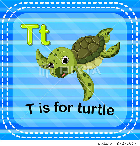 Flashcard letter T is for turtle 37272657