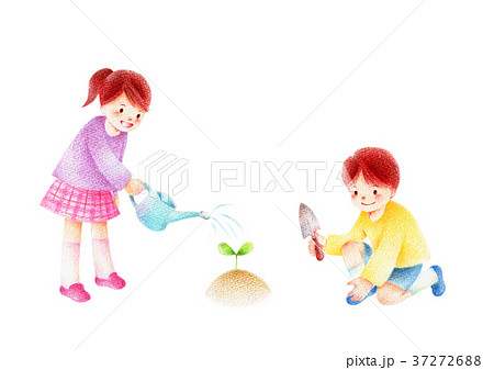 水やりする子供 水やりする子供 37272688