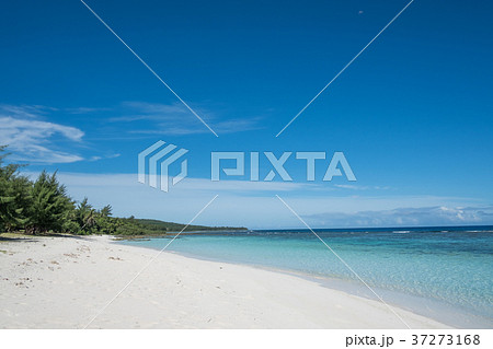 ロタ島　テテトビーチ 37273168