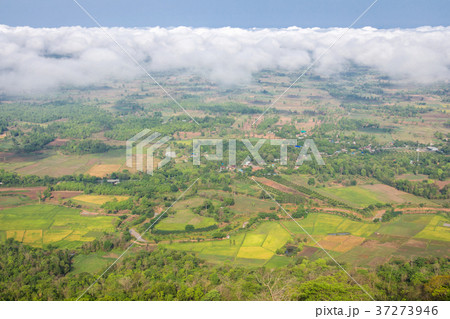 Sea Mist in the morning in the cliffs in Thailand. 37273946