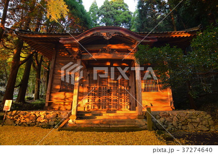 福城寺 福城寺 37274640