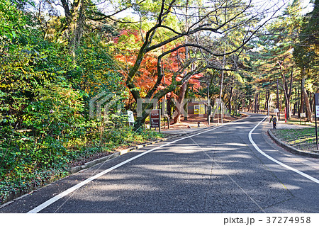 足立公園 足立公園 37274958
