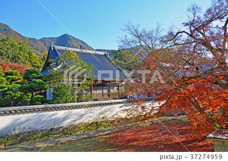 福聚寺 37274959