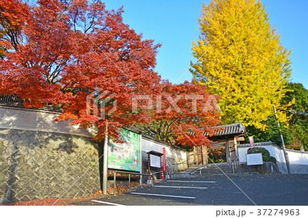 福聚寺 福聚寺 37274963