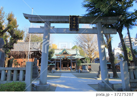 牛嶋神社 墨田区 牛嶋神社 墨田区 37275207