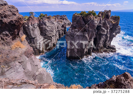 【東伊豆】城ケ崎海岸 【東伊豆】城ケ崎海岸 37275288