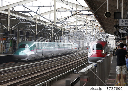福島駅に停車中の東北新幹線 37276004