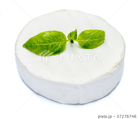 Round brie or camambert cheese on a white Round brie or camambert cheese on a white 37276746