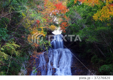 常光寺の滝と紅葉　宮崎県高千穂町岩戸 37276820