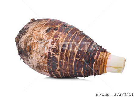 whole taro isolated on white background 37278411