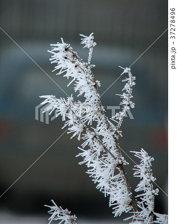ice crystals 37278496