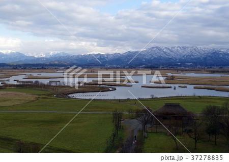 福島潟・冬 37278835