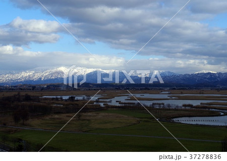 福島潟・冬 37278836