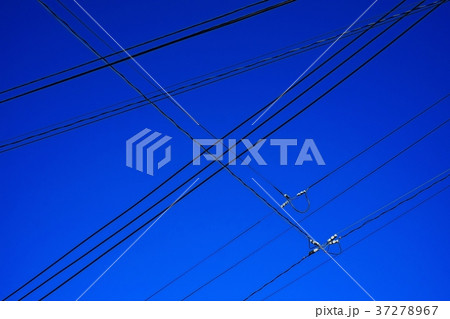 交錯する電線 交錯する電線 37278967
