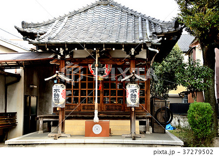 西蔵院不動尊 37279502