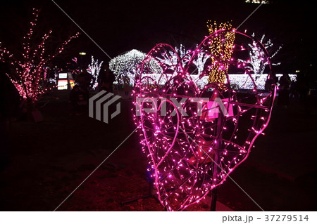 仙台光のページェント 勾当台公園の写真素材