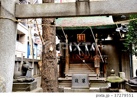 小野照崎神社境内社 37279551