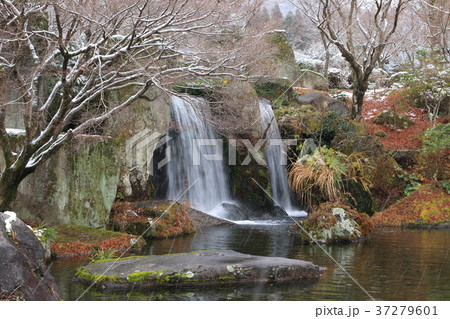 冬の渓石園 37279601