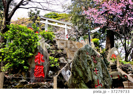 駒込富士神社の富士塚 駒込富士神社の富士塚 37279733