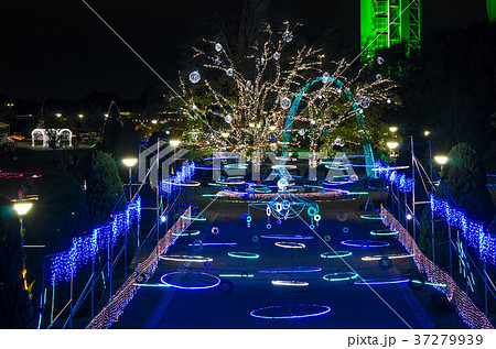 138タワーイルミネーション 37279939