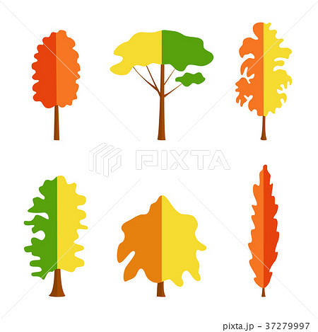 Vector flat trees on white background Vector flat trees on white background 37279997