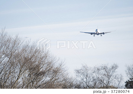 飛行機 ひこうきの丘 飛行機 ひこうきの丘 37280074