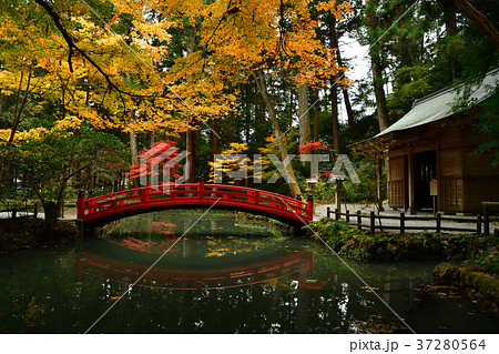 静岡県周智郡森町小國神社　事待池の紅葉 37280564