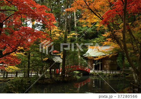 静岡県周智郡森町小國神社　事待池の紅葉 37280566