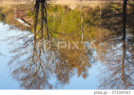Landscape reflected from lake water surface 37280583