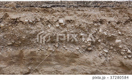 Cross section of road Cross section of road 37280584
