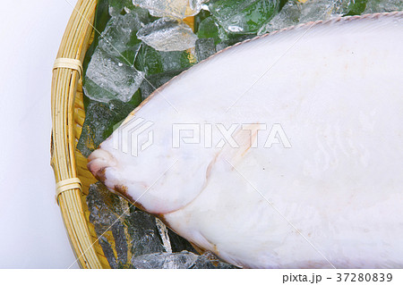 アブラガレイ　食材 37280839