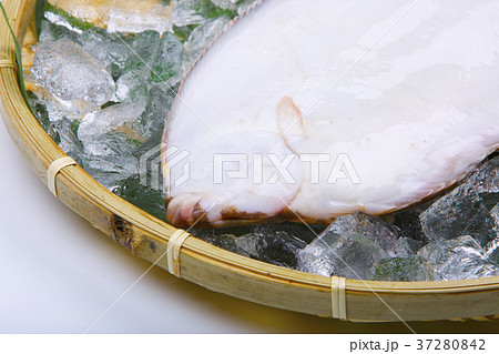 アブラガレイ　食材 37280842