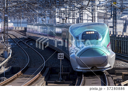 東北新幹線　E5系　大宮駅 37280886