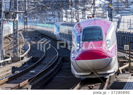 秋田新幹線　E6系　大宮駅 37280890