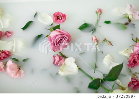 Milk in bath with roses 37280997