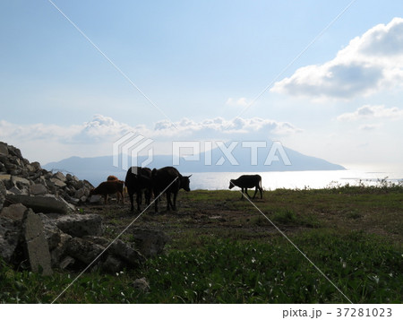 トカラ列島口之島 37281023