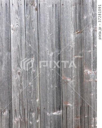 Grey boards 37281091