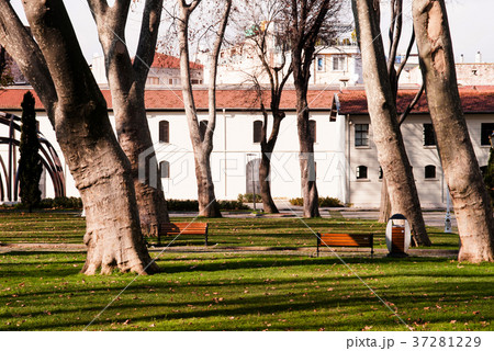 Gulhane park, Oldest public park in Istanbul Gulhane park, Oldest public park in Istanbul 37281229