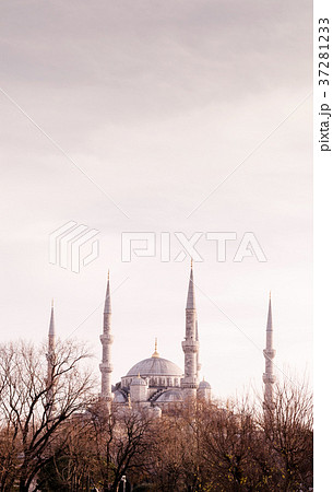 Vertical beautiful image Blue Mosque Istanbul, 37281233