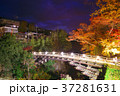 猿橋(夜景) 猿橋(夜景) 37281631