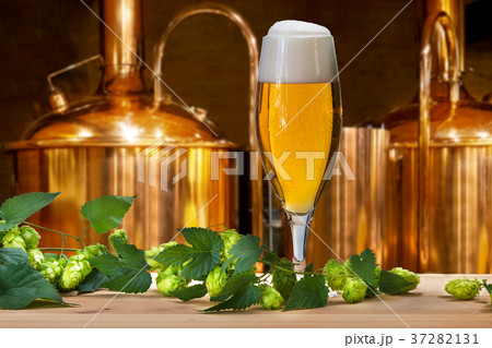 Beer glass with hops and barley in the brewery 37282131