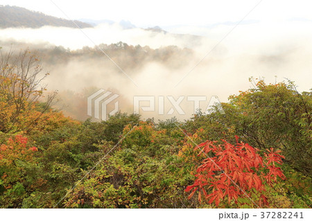 奥只見の紅葉と雲海 奥只見の紅葉と雲海 37282241