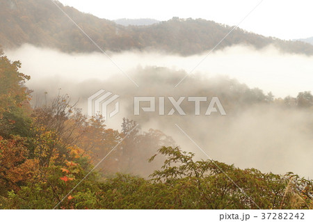 奥只見の紅葉と雲海 37282242