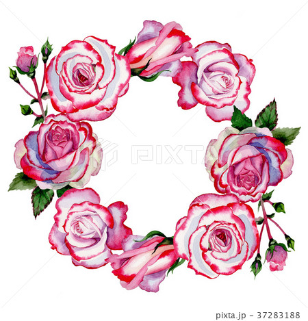 Wildflower hybrid rose flower wreath in a 37283188